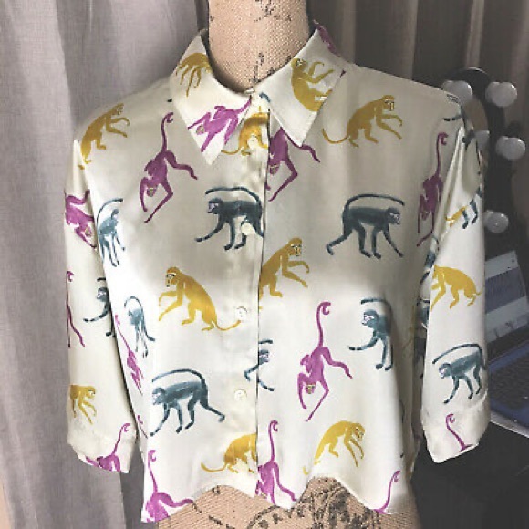 COPY - COPY - Zara NWT monkey silky blouse - Picture 4 of 10